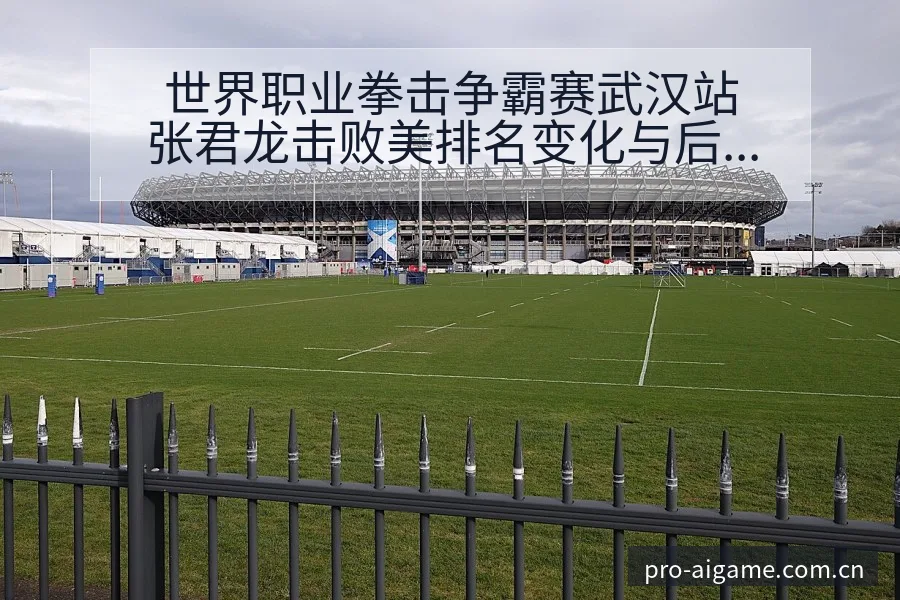世界职业拳击争霸赛武汉站张君龙击败美排名变化与后续走势 - 爱游戏